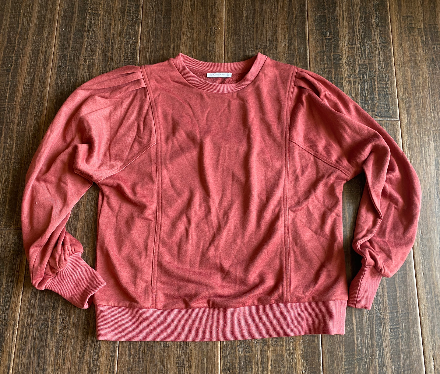 Long Sleeve Terry Sweatshirt in Rust Color